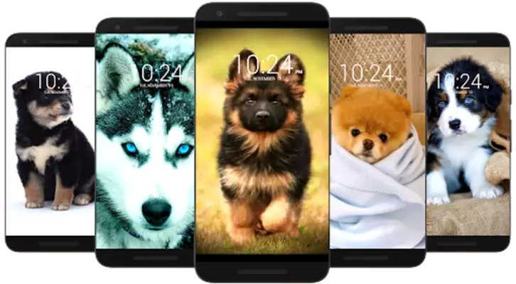 Dog Wallpaper HD android App screenshot 1