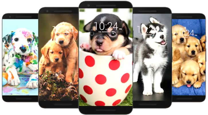 Dog Wallpaper HD android App screenshot 2