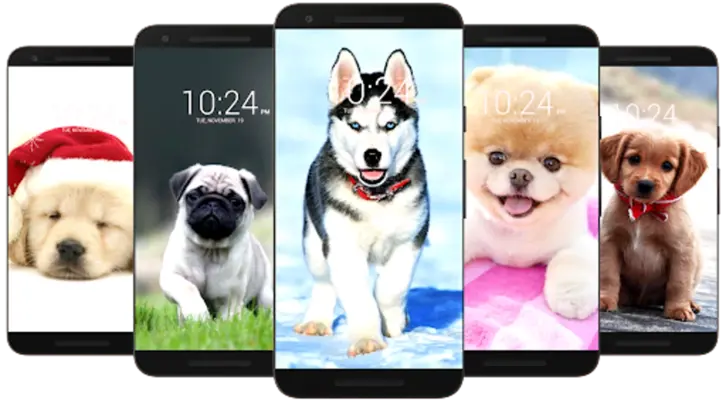 Dog Wallpaper HD android App screenshot 4