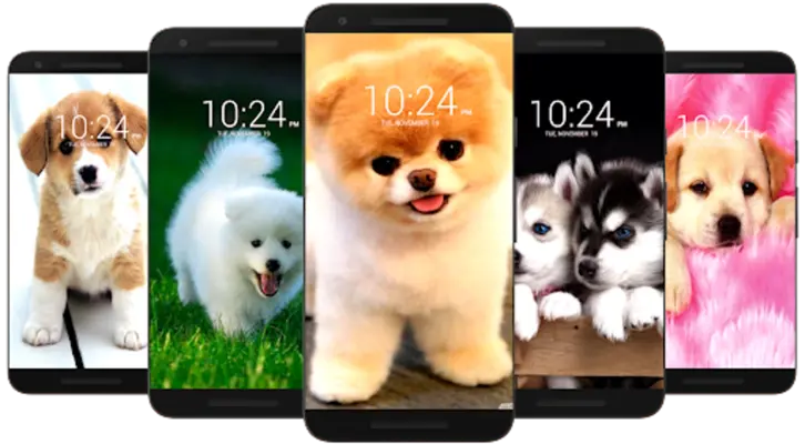 Dog Wallpaper HD android App screenshot 5